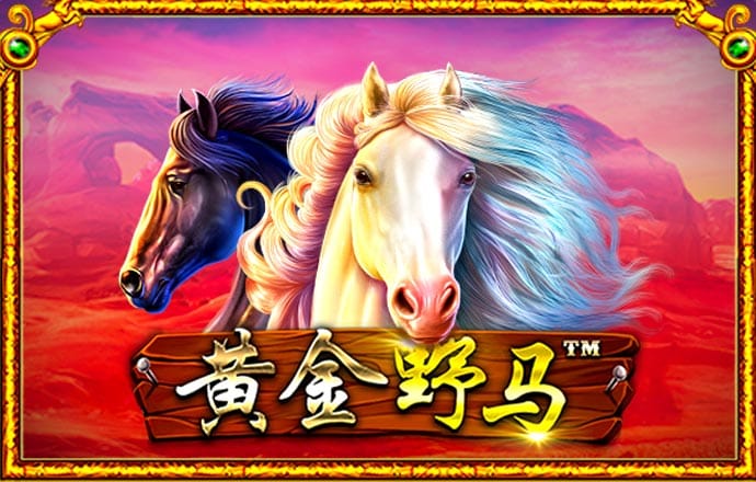 ayx手机版登录入口